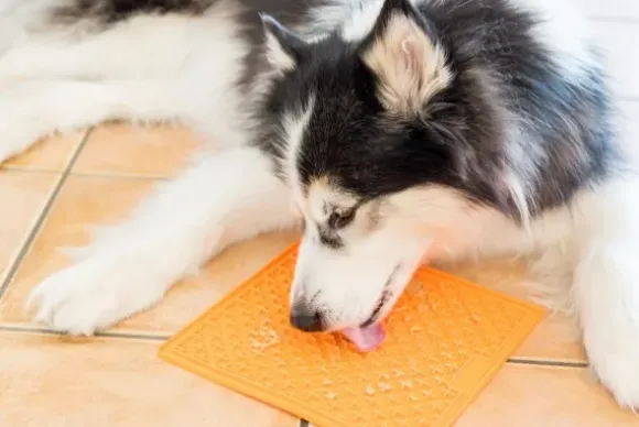 Lickimat Lickimat Buddy