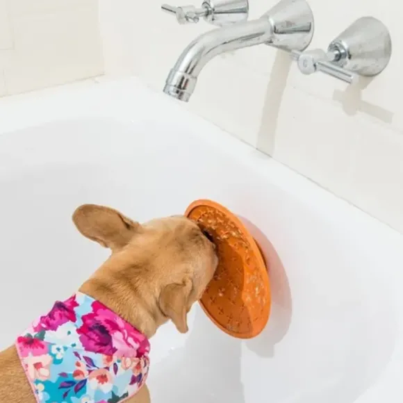 Lickimat Lickimat Splash