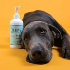 Natural Dog Company Natural Dog Company Snout Soother