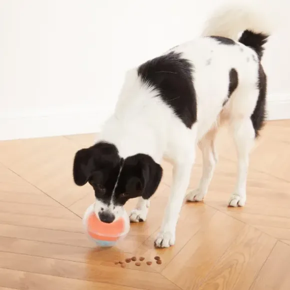 Nina Ottosson Dog Rumble Puzzle