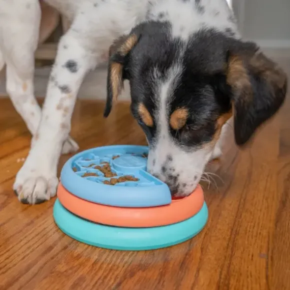 Nina Ottosson Puppy/Small Dog Lickin' Layers