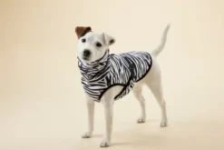 Paikka Paikka Cool & Bug Vest For Dogs