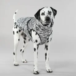 Paikka Paikka Cool & Bug Vest For Dogs