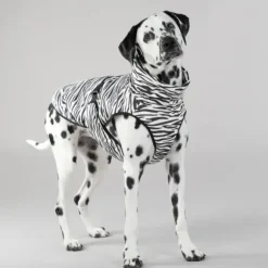 Paikka Paikka Cool & Bug Vest For Dogs