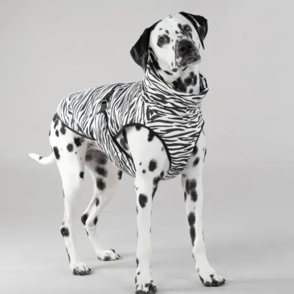 Paikka Paikka Cool & Bug Vest For Dogs
