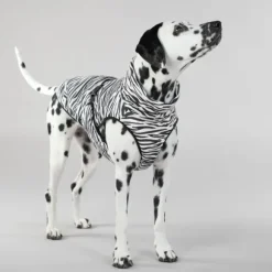 Paikka Paikka Cool & Bug Vest For Dogs