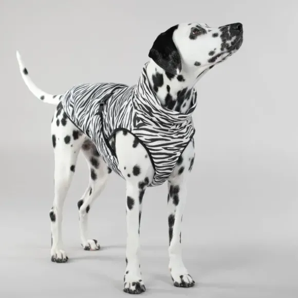 Paikka Paikka Cool & Bug Vest For Dogs