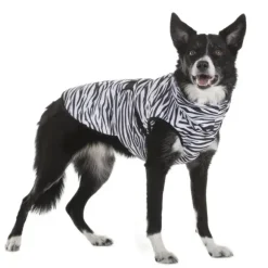 Paikka Paikka Cool & Bug Vest For Dogs