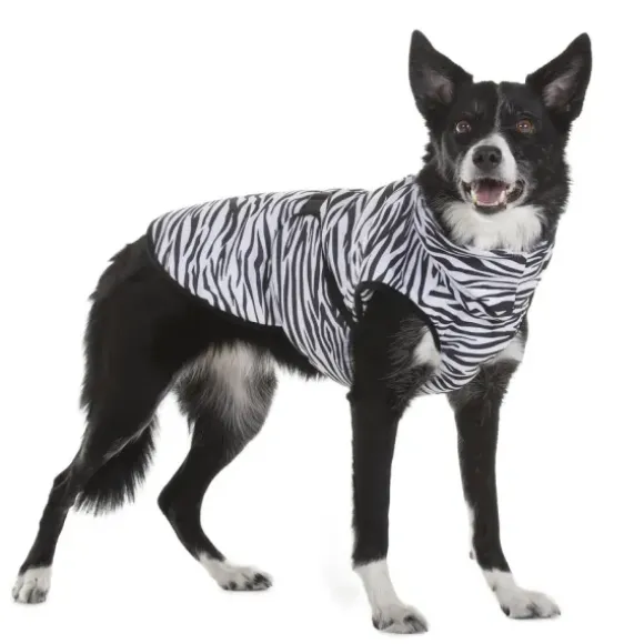 Paikka Paikka Cool & Bug Vest For Dogs