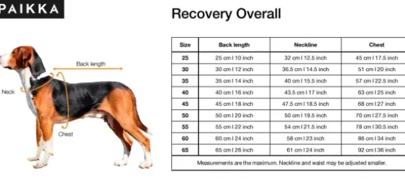 Paikka Paikka Recovery Overall