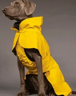 Paikka Paikka Visibility Raincoat Dark