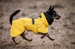 Paikka Paikka Visibility Raincoat Dark
