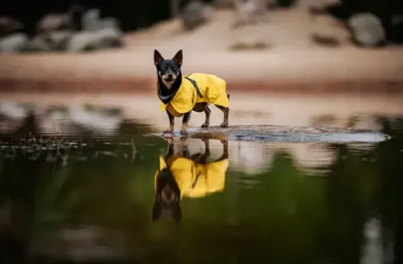 Paikka Paikka Visibility Raincoat Dark