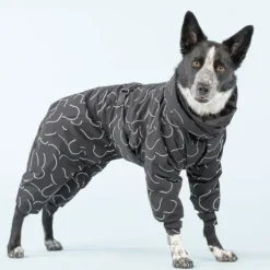 Paikka Paikka Winter Suit