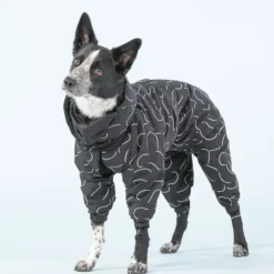 Paikka Paikka Winter Suit