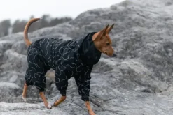 Paikka Paikka Winter Suit
