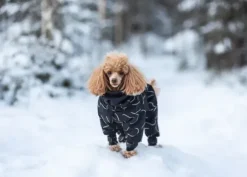 Paikka Paikka Winter Suit