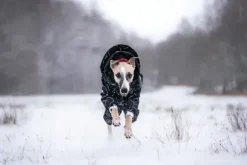 Paikka Paikka Winter Suit