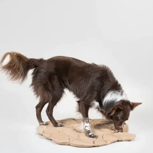 Paikka Playmat For Dogs - Pinecone