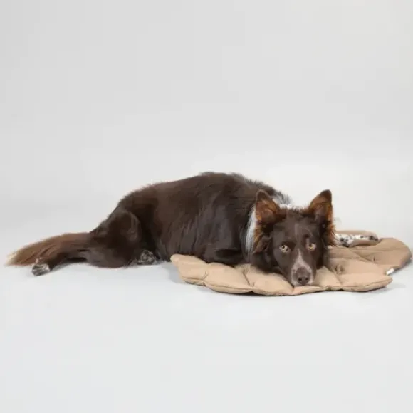 Paikka Playmat For Dogs - Pinecone
