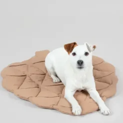 Paikka Playmat For Dogs - Pumpkin