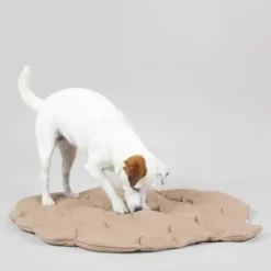 Paikka Playmat For Dogs - Square Grey