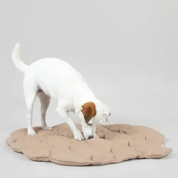 Paikka Playmat For Dogs - Square Grey