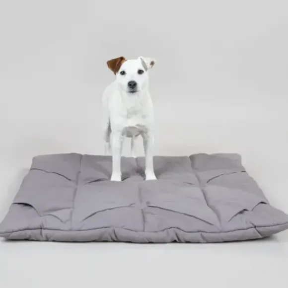 Paikka Playmat For Dogs - Square Grey