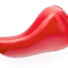 Planet Dog Planet Dog Foodies Chilipeper