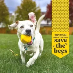 Project Hive Ball