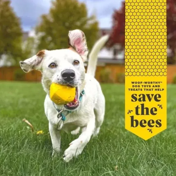 Project Hive Ball