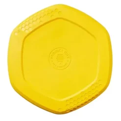 Project Hive Dog Disc
