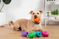 Project Hive Pet Company Hive Toy Large Met Geur