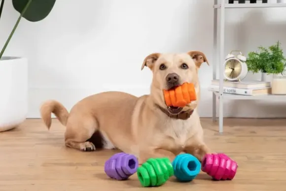 Project Hive Pet Company Hive Toy