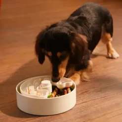 Puzzle Feeder Lite (Voor Kleine Honden)