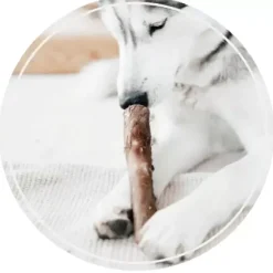 Retorn Retorn Rub Bio Stick Huid En Haar Beef