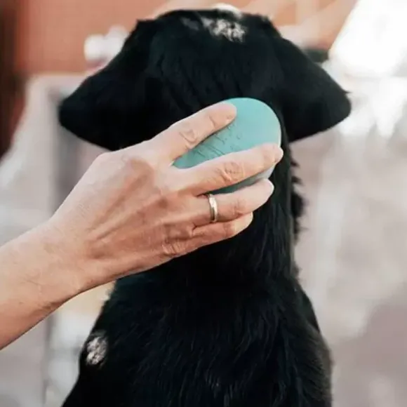 Retorn Retorn Rub - Dog Brush