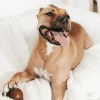 Retorn Retorn Rub - Strong Ball Organische Hars