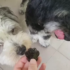 Rover Pet Products Lulu'S Kitchen Lulu'S Kitchen Superfood Jelly Blueberry & Blue Spirulina