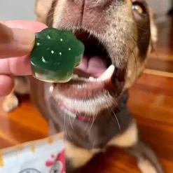 Rover Pet Products Lulu'S Kitchen Lulu'S Kitchen Superfood Jelly Spinach & Green Spirulina
