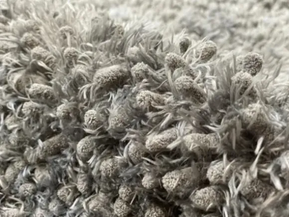 Royal Dry Doormat
