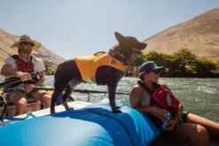 Ruffwear Ruffwear Float Coat Zwemvest