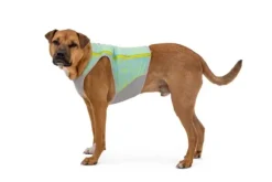 Ruffwear Ruffwear Swamp Cooler Zip Vest