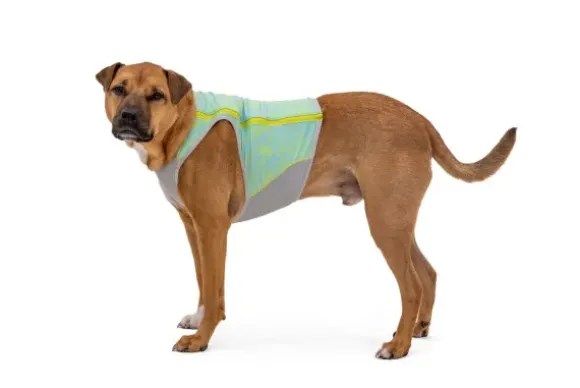 Ruffwear Ruffwear Swamp Cooler Zip Vest