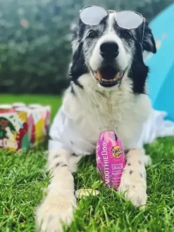 Smoothiedog Smoothiedog Limited Edition Sweet Summer (Konijn)