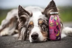 Smoothiedog Smoothiedog Limited Edition Sweet Summer (Konijn)
