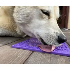 Sodapup Sodapup Bones Enrichment Likmat