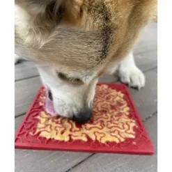 Sodapup Sodapup Bones Enrichment Likmat