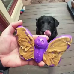 Sodapup Sodapup Butterfly Nylon Chew & Enrichment Toy