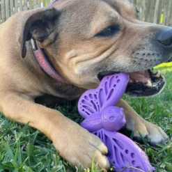 Sodapup Sodapup Butterfly Nylon Chew & Enrichment Toy